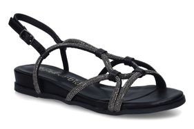 PIED DE BICHE-PALDA 1-NOIR-DAMES-0001