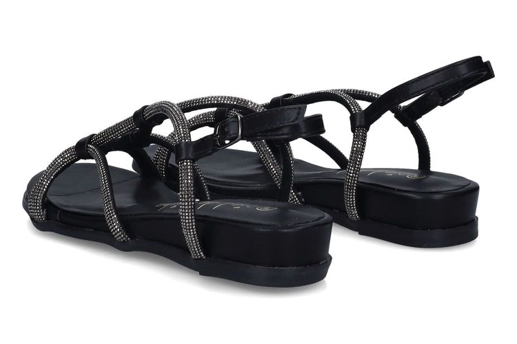 PIED DE BICHE-PALDA 1-NOIR-DAMES-0002