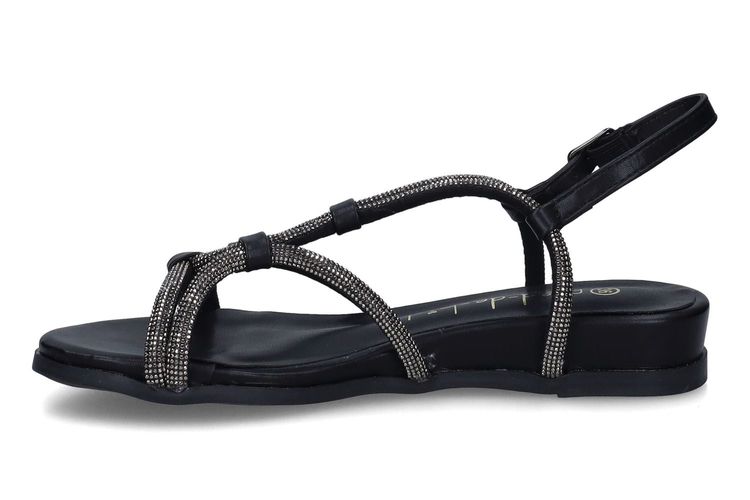 PIED DE BICHE-PALDA 1-NOIR-DAMES-0004