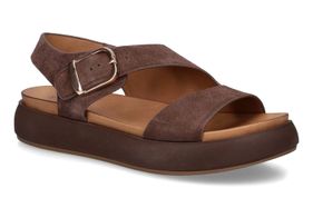 INUOVO-IANTHINA-CHESTNUT BROWN-DAMES-0001