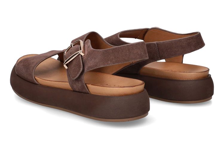 INUOVO-IANTHINA-MARRON-DAMES-0002