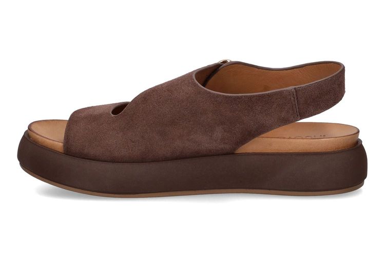 INUOVO-IANTHINA-MARRON-DAMES-0004