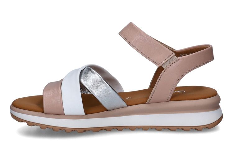 GABOR-GINELLA-MULTICOLOR-DAMES-0004