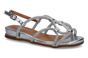 PIED DE BICHE-PALDA 2-ARGENT-DAMES-0001