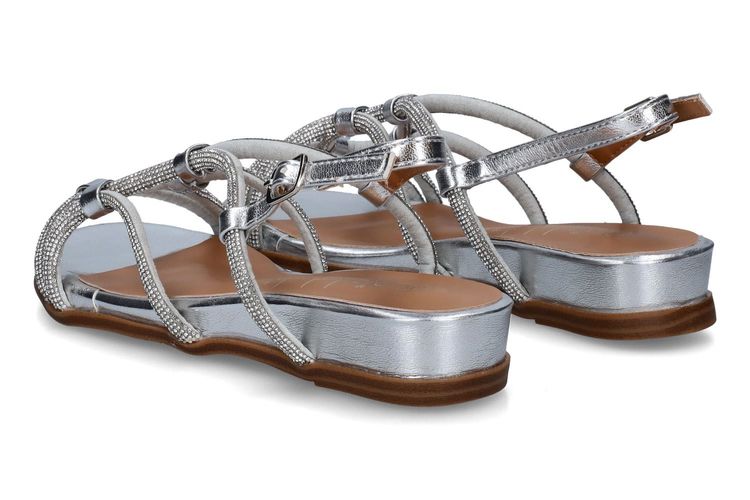 PIED DE BICHE-PALDA 2-ARGENT-DAMES-0002