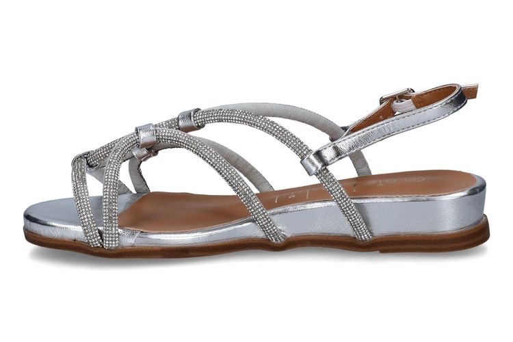 PIED DE BICHE-PALDA 2-ARGENT-DAMES-0004