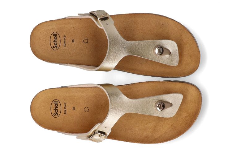 SCHOLL-NICOLE4-OR-DAMES-0003