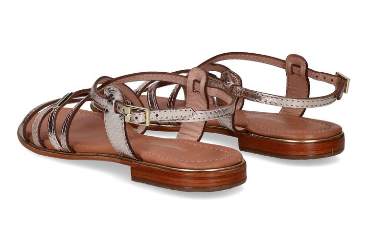 LES TROPEZIENNES-HARRY-OR-DAMES-0002