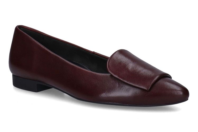PAUL GREEN-PANSY2-BURGUNDY-DAMES-0001