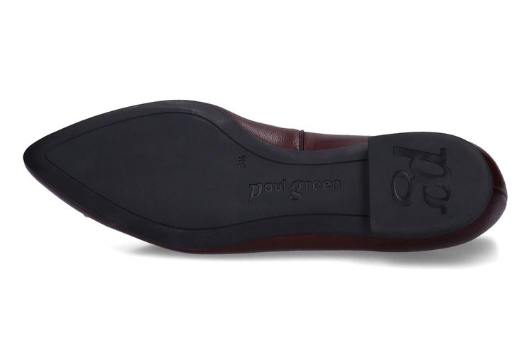 PAUL GREEN-PANSY2-BURGUNDY-DAMES-0005