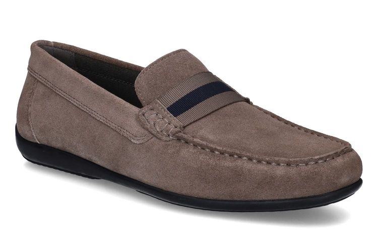GEOX-ASCANIO 1-TAUPE-MEN-0001