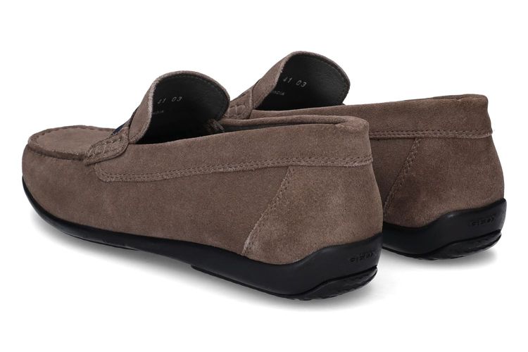 GEOX-ASCANIO 1-TAUPE-MEN-0002