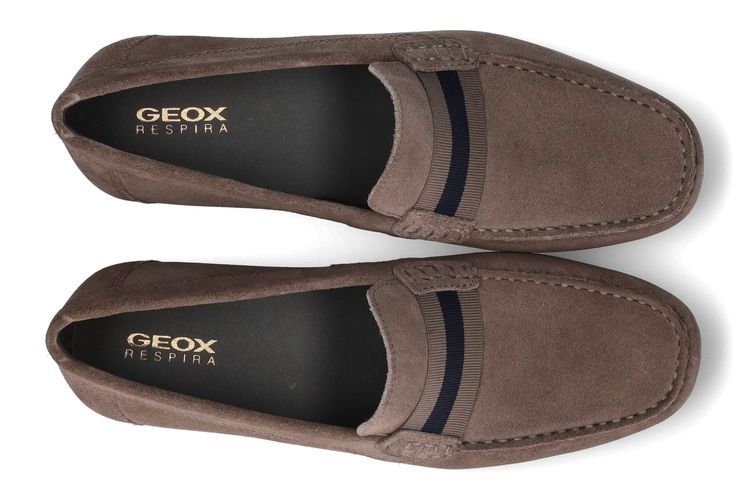 GEOX-ASCANIO 1-TAUPE-MEN-0003
