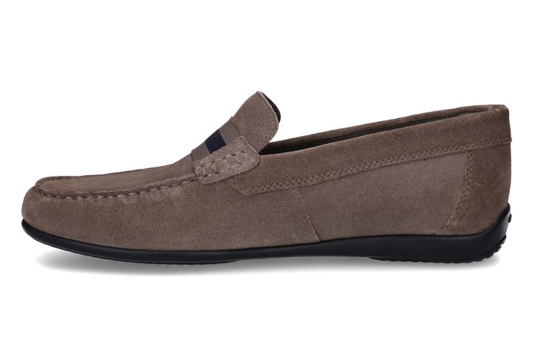 GEOX-ASCANIO 1-TAUPE-MEN-0004