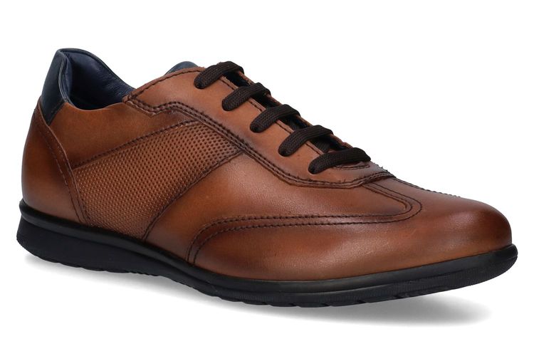 HUSH PUPPIES-TALAMS 1-COGNAC-HOMMES-0001