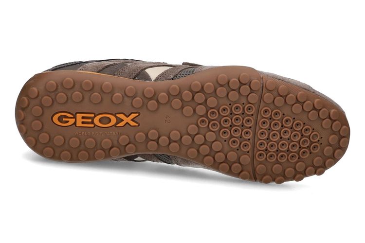 GEOX-SNAKE 2-TAUPE-HOMMES-0005