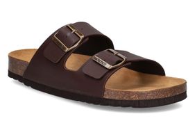 SCHOLL-JULIEN 2-CHESTNUT BROWN-MEN-0001