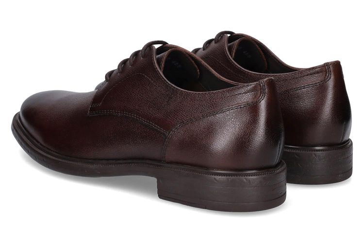 GEOX-TERENCE 5-MARRON-HOMMES-0002