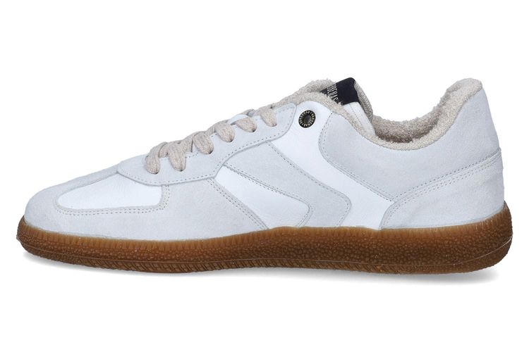 VERBENAS-VARIUS 1-WHITE-MEN-0004