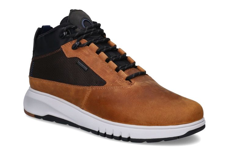 GEOX-AERANTIS-COGNAC-HOMMES-0001