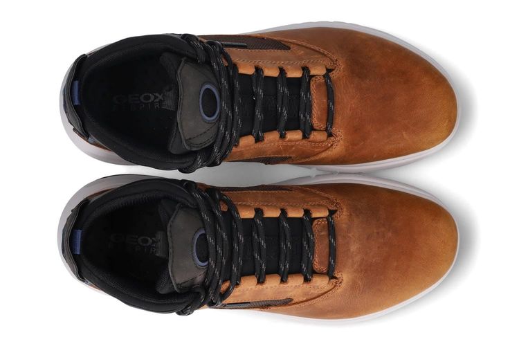 GEOX-AERANTIS-COGNAC-HOMMES-0003