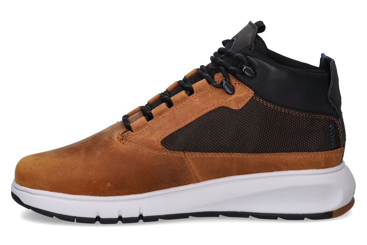 GEOX-AERANTIS-COGNAC-HOMMES-0004