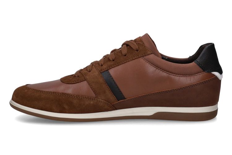 GEOX-RENAN 1-COGNAC-HOMMES-0004