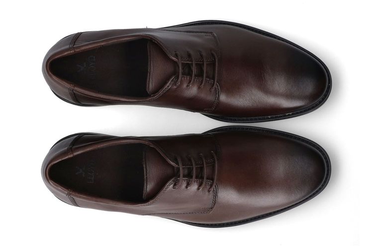 LLOYD-LOMAN 3-MARRON-HOMMES-0003