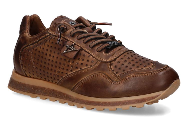 CETTI-C848 A-MARRON-HOMMES-0001