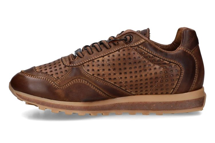 CETTI-C848 A-MARRON-HOMMES-0004