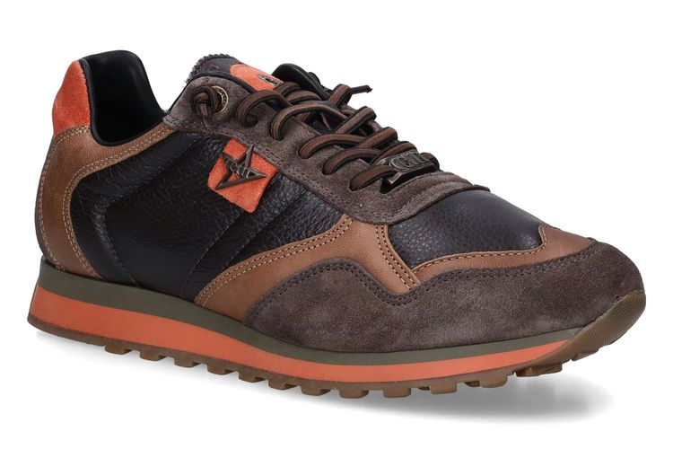 CETTI-C848 B-CHESTNUT BROWN-MEN-0001
