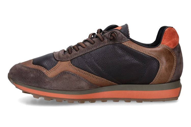 CETTI-C848 B-CHESTNUT BROWN-MEN-0004