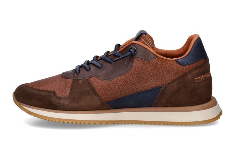 CETTI-C1397 A-COGNAC-HOMMES-0004