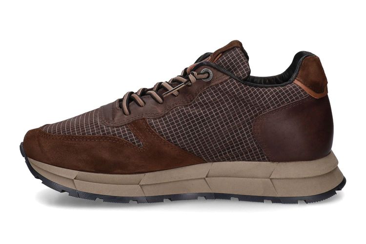 CETTI-C1353 A-MARRON-HOMMES-0004