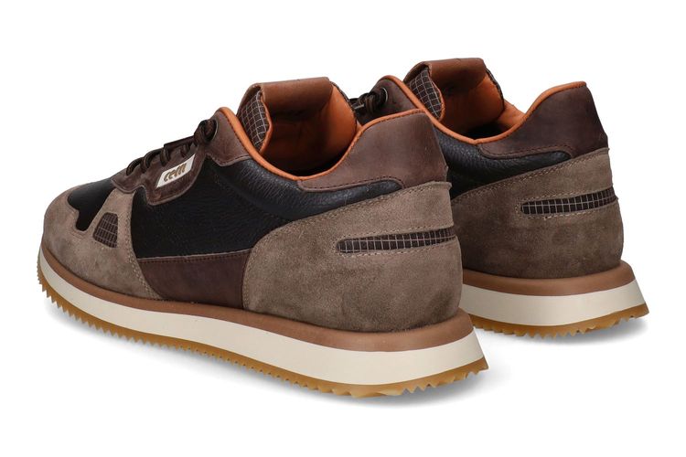 CETTI-C1397 B-MARRON-HOMMES-0002