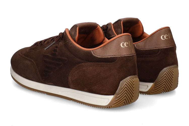 CETTI-C1381-MARRON-HOMMES-0002