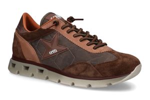 CETTI-C1385-MARRON-HOMMES-main.jpg?tr=c-at