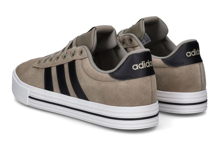 ADIDAS-DAILY 4.2-GRIS-HOMMES-0002