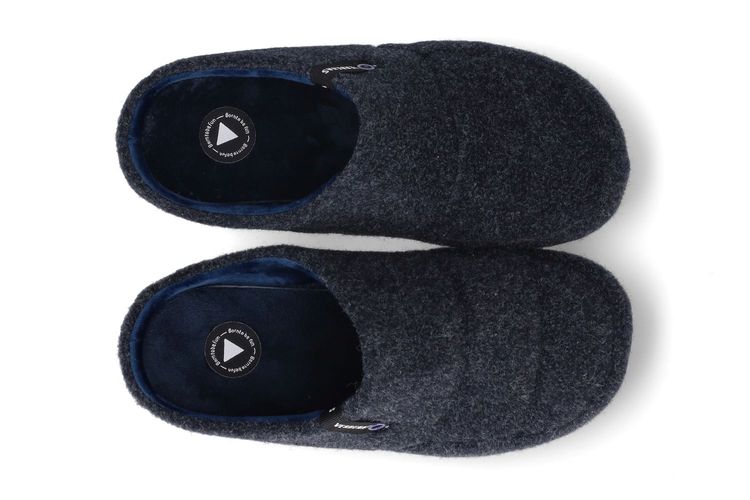 VERBENAS-EARTH 4-NAVY-MEN-0003