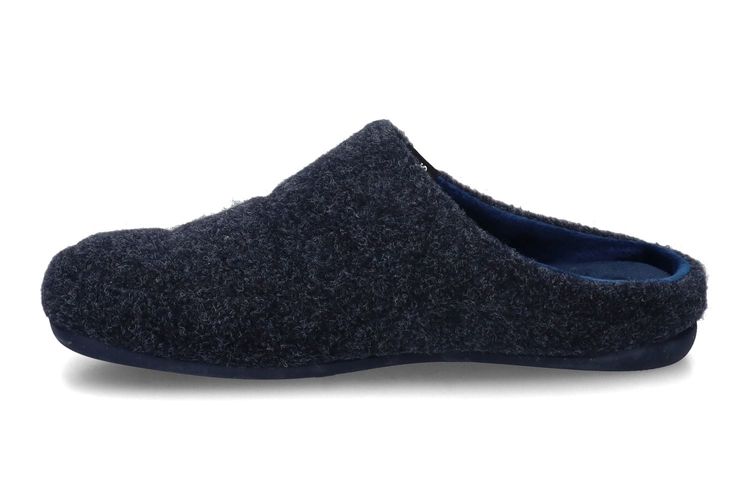 VERBENAS-EARTH 4-NAVY-MEN-0004