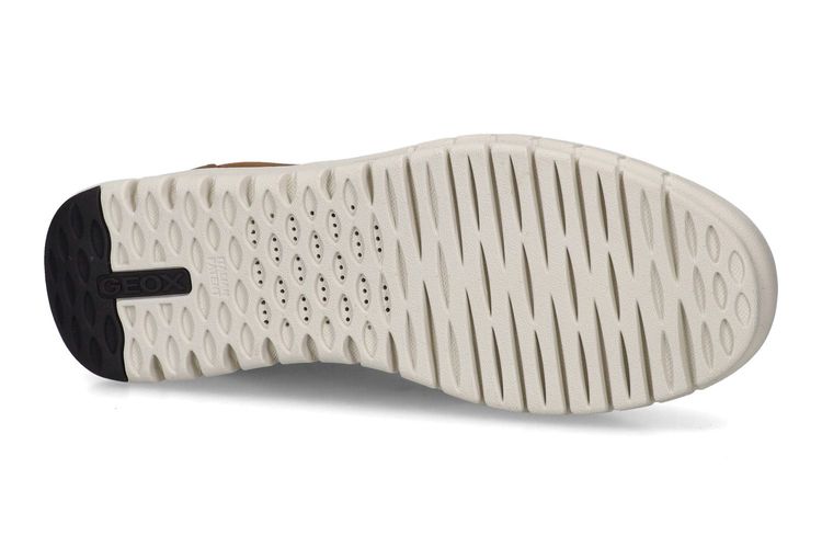 GEOX-FLEXTRIDE 2-COGNAC-HOMMES-0005