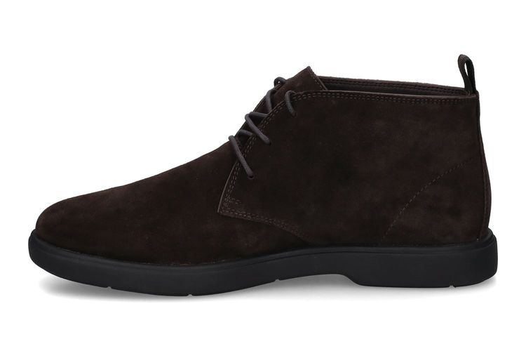 GEOX-SPHERICA 4-MARRON-HOMMES-0004