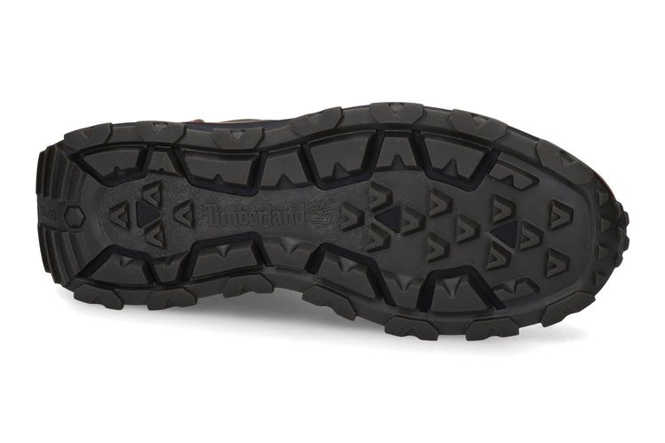 TIMBERLAND-WINSOR PARK-MARRON-HOMMES-0005