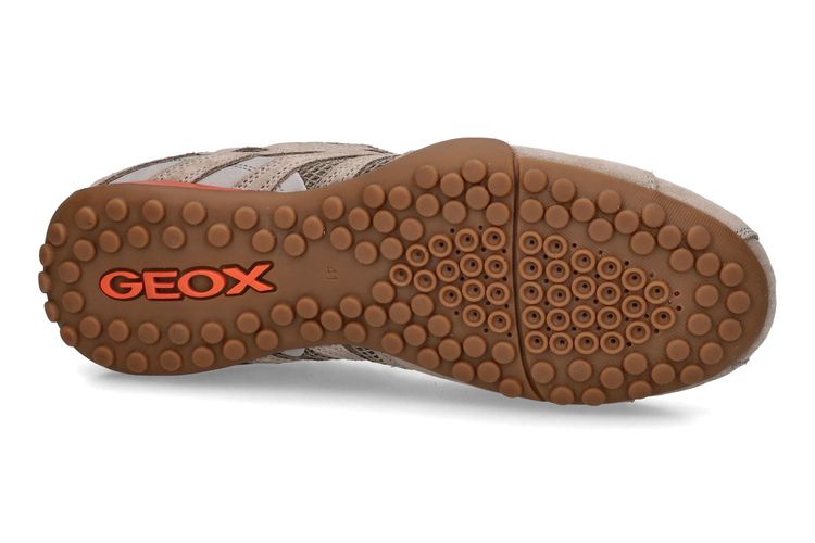 GEOX-SNAKE 2-BEIGE-HOMMES-0005