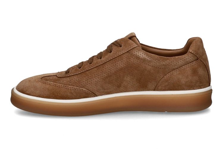 GEOX-SPHERICA 3-COGNAC-MEN-0004