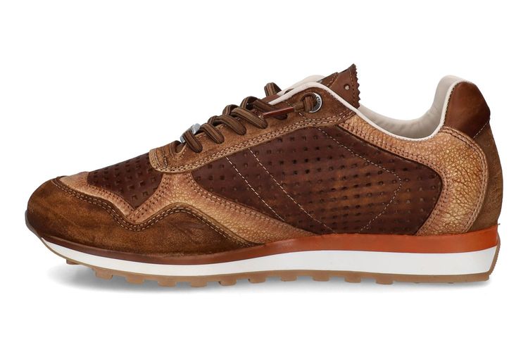 CETTI-CALEB 1-COGNAC-HOMMES-0004