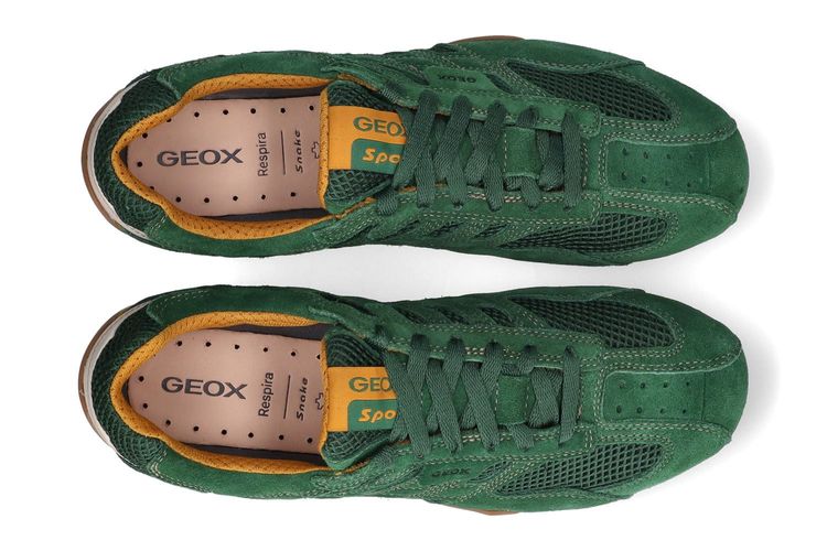 GEOX-SNAKE 4-VERT-HOMMES-0003