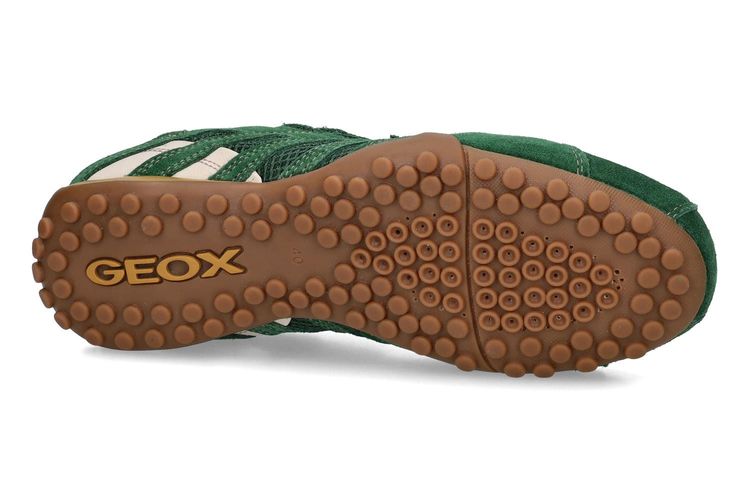GEOX-SNAKE 4-VERT-HOMMES-0005