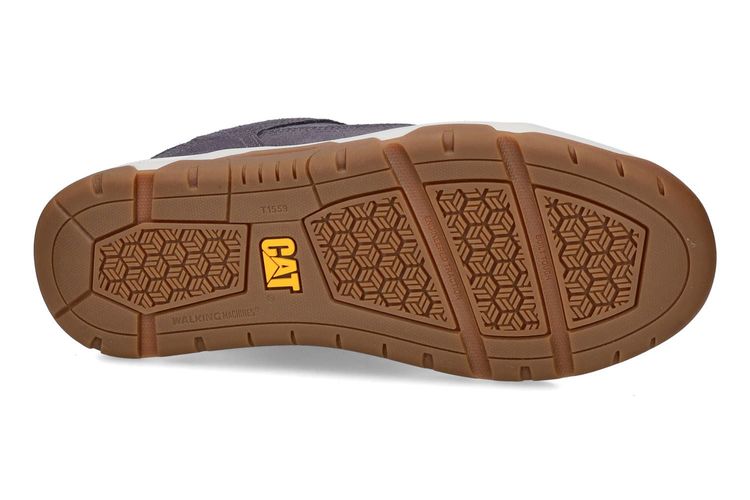 CATERPILLAR-THEOREM 1-GRIS-HOMMES-0005