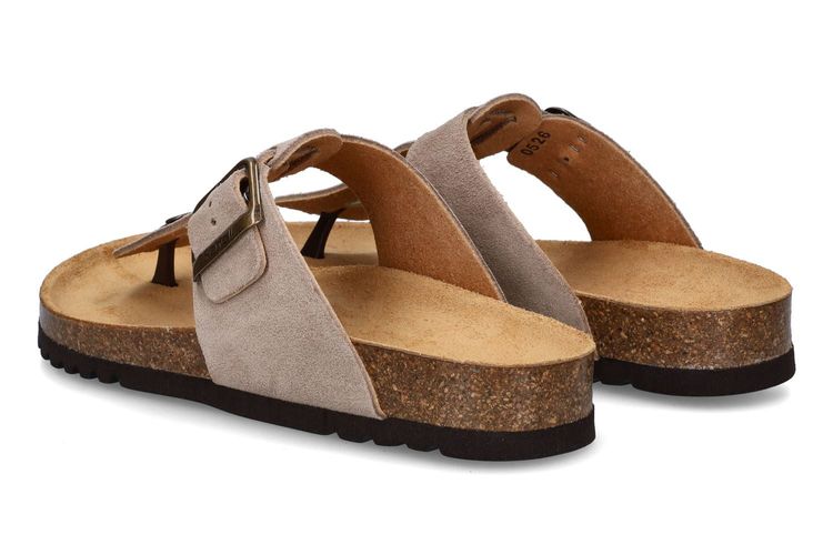 SCHOLL-TBC 3-BEIGE-HOMMES-0002